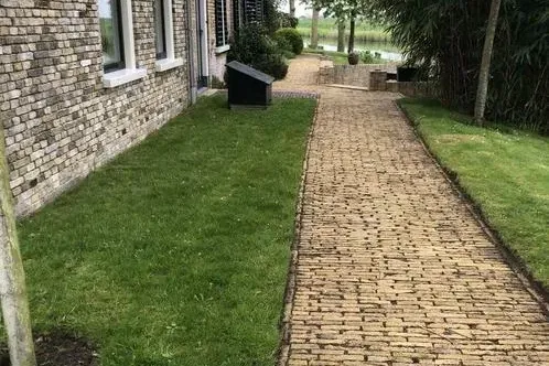 Antique farmhouse yellow paving bricks