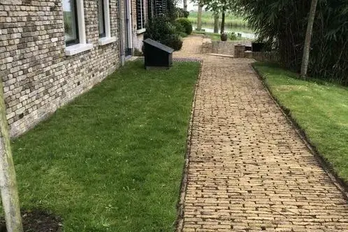 Antique farmhouse yellow paving bricks