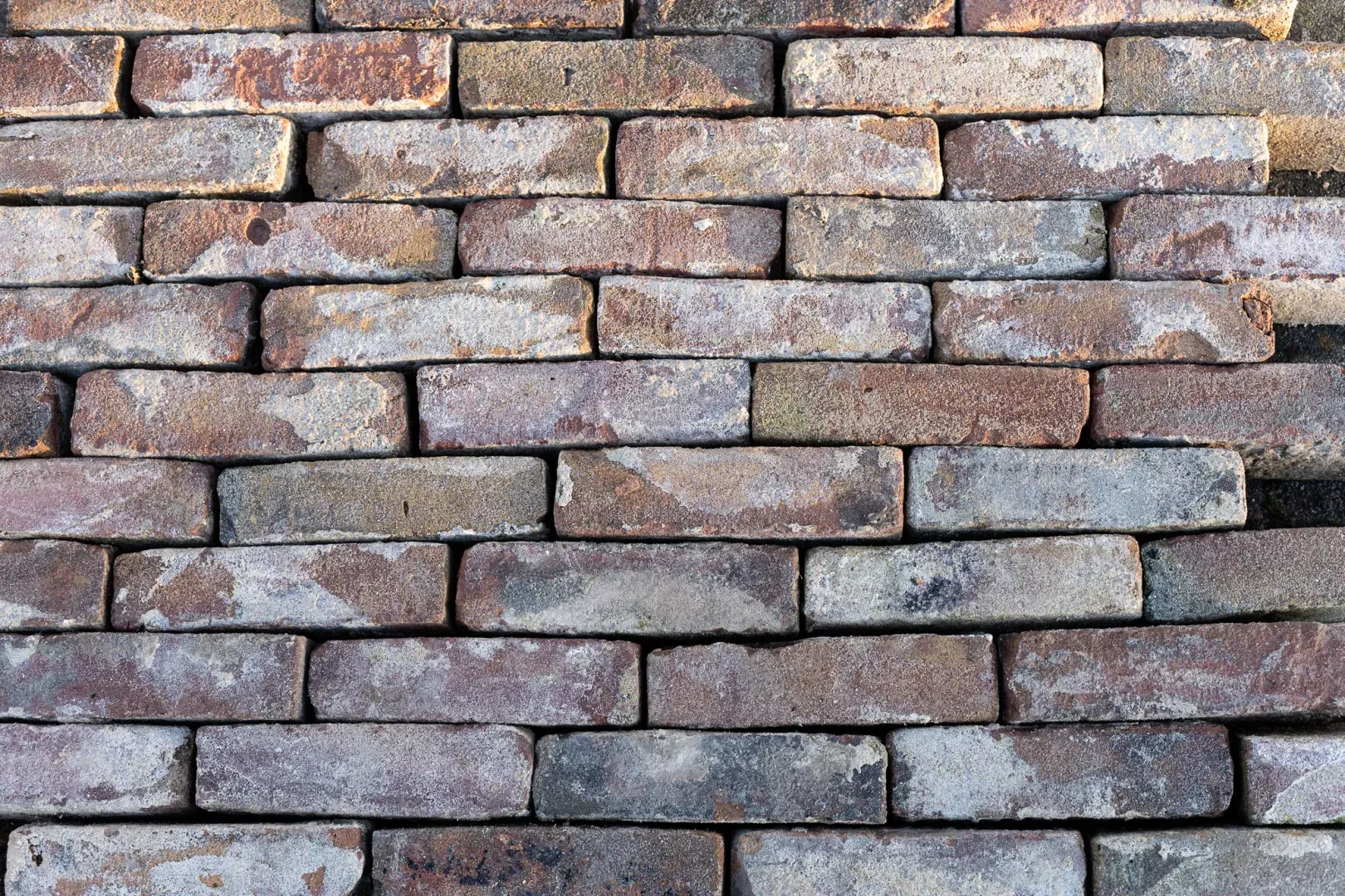 Antique Waal-size masonry bricks