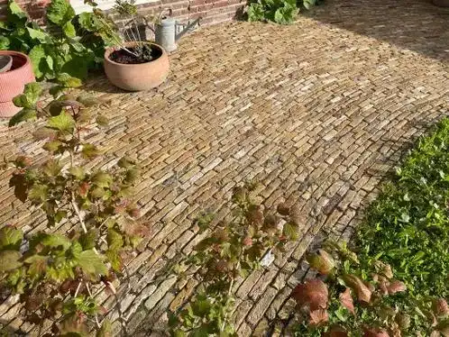 Hardgebakken Ijsselstenen