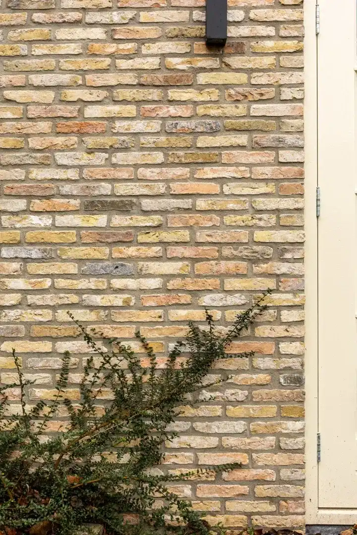 I M G 0854 Pajwy4