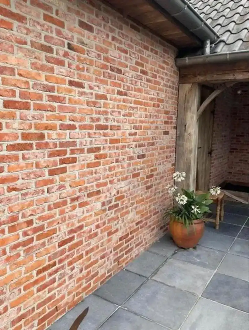 Oranje Gebikte Steen Oud