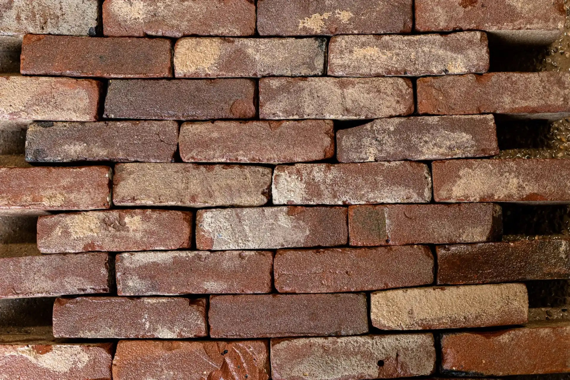 Oude Paarse Vormbak Stenen