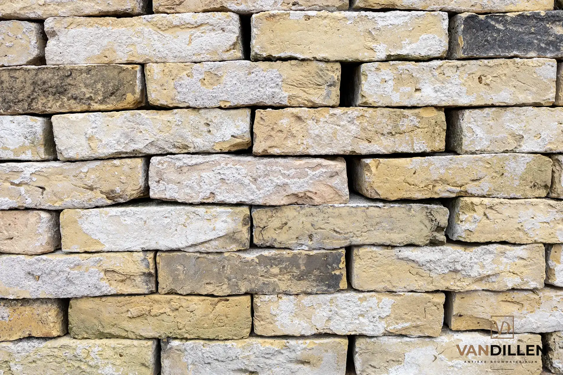 Gebikte Friese Geeltjes 22cm