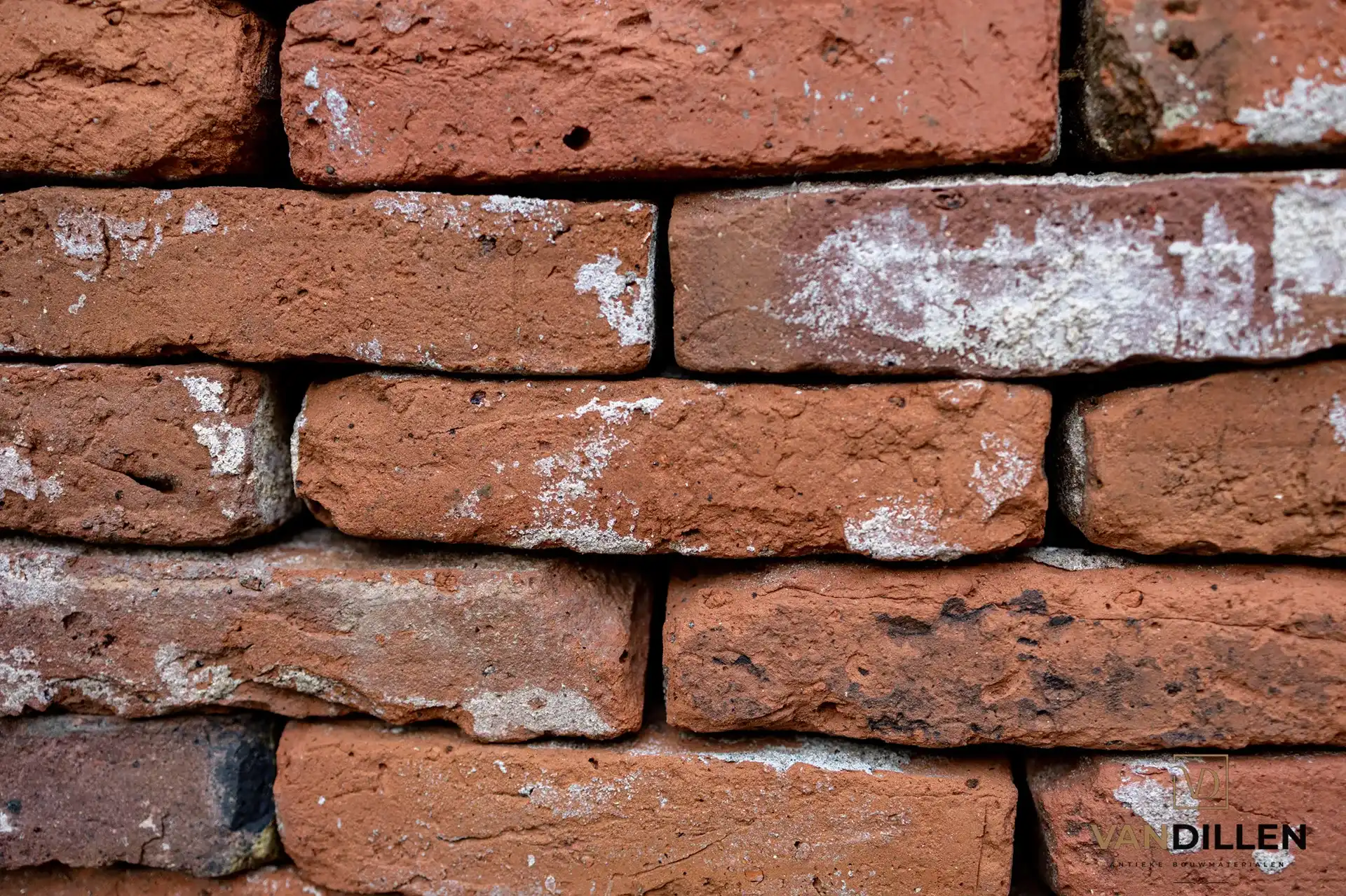 Genuanceerde Gebikte Handvorm Stenen
