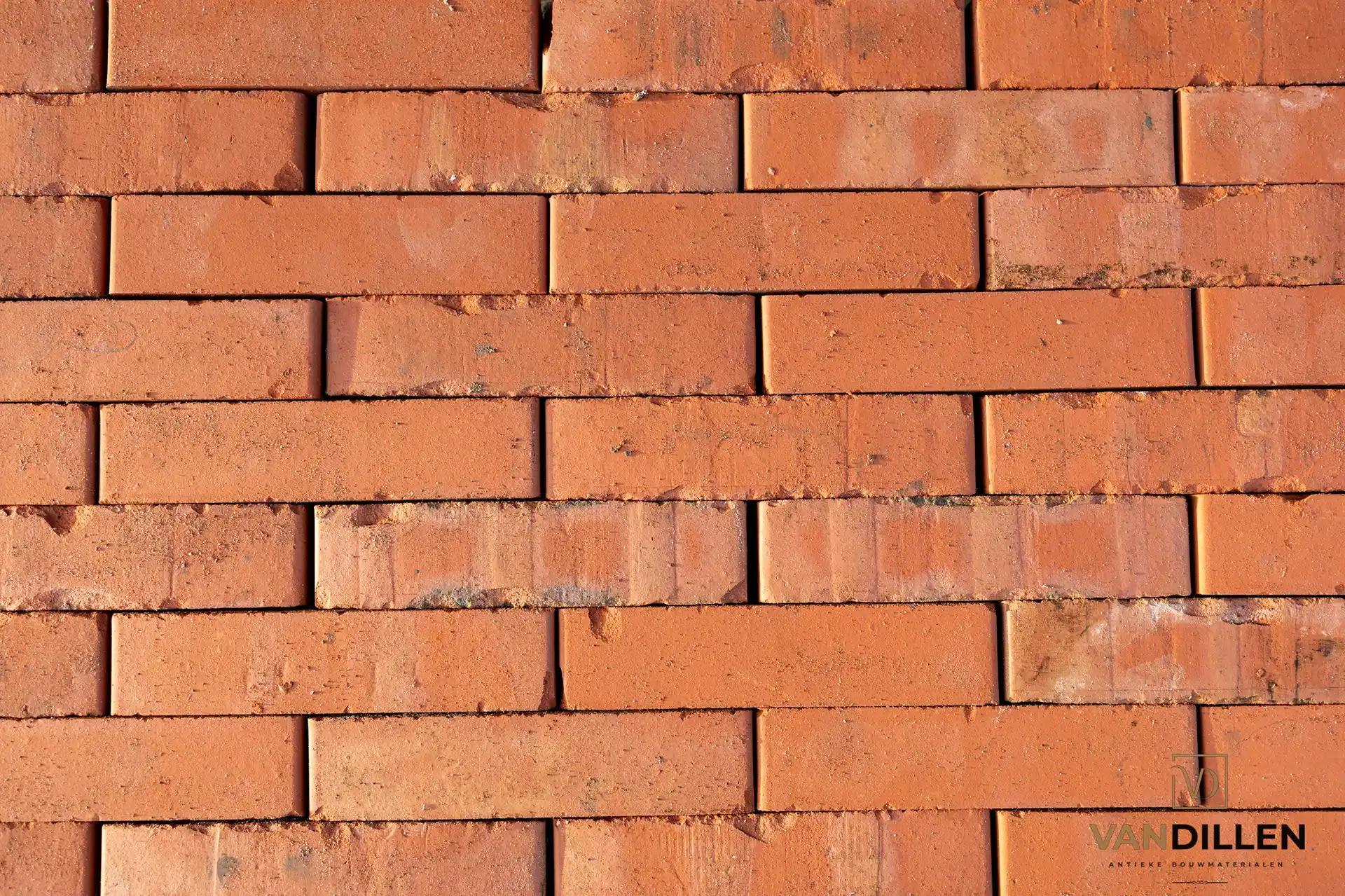 Gladde Oranje Groninger Steen Kopen Strak