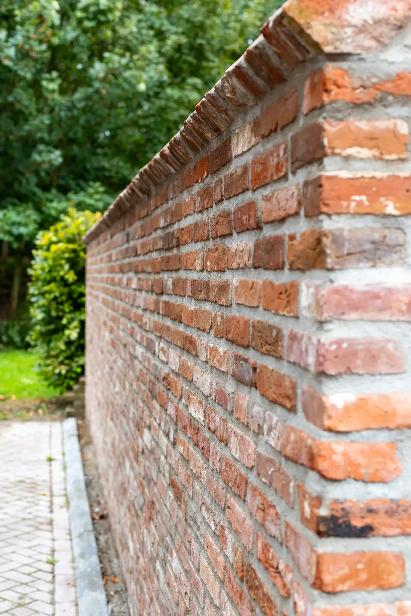 Groninger Moppen