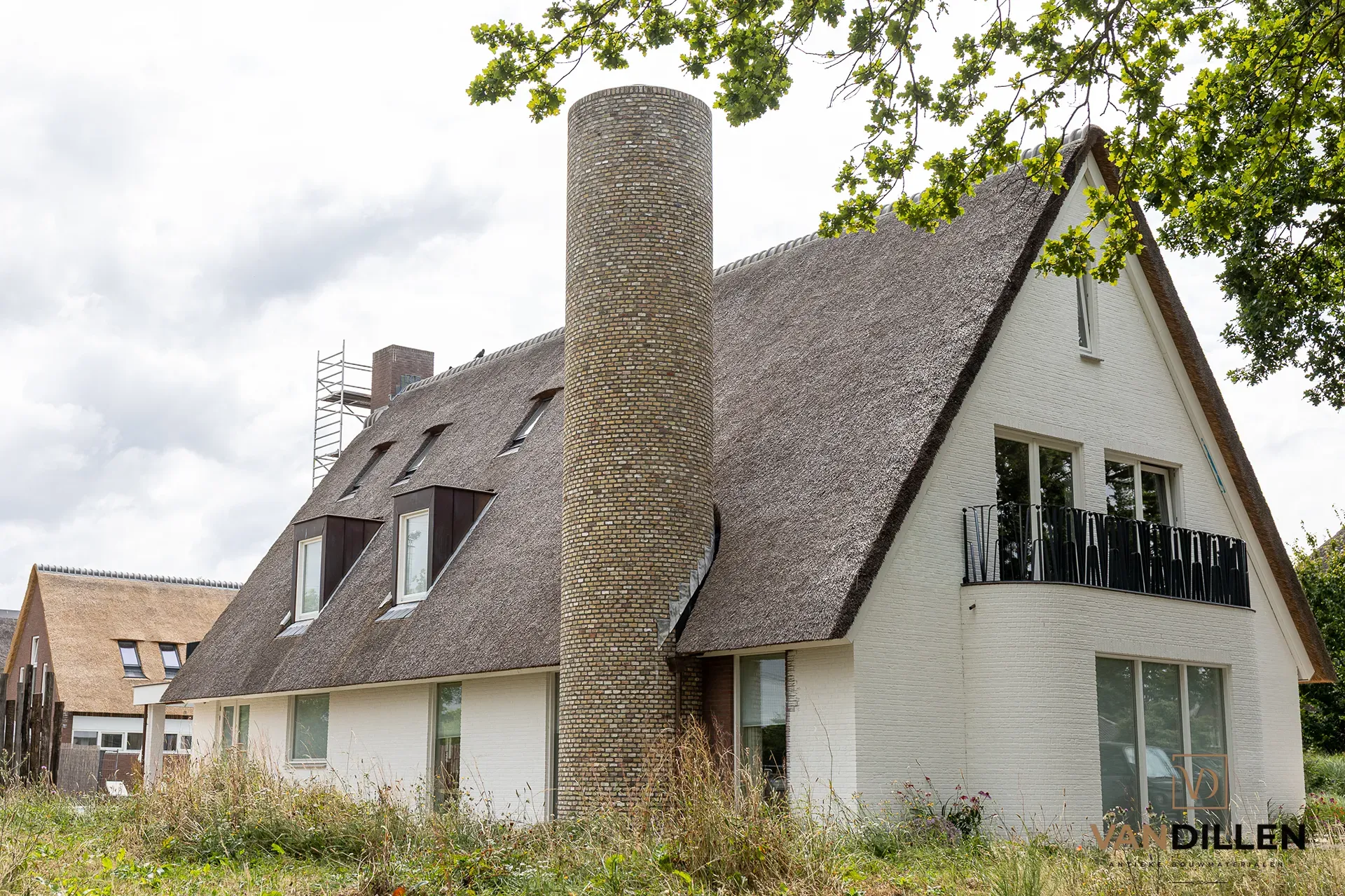 Grote Friese geeltjes in Helmond