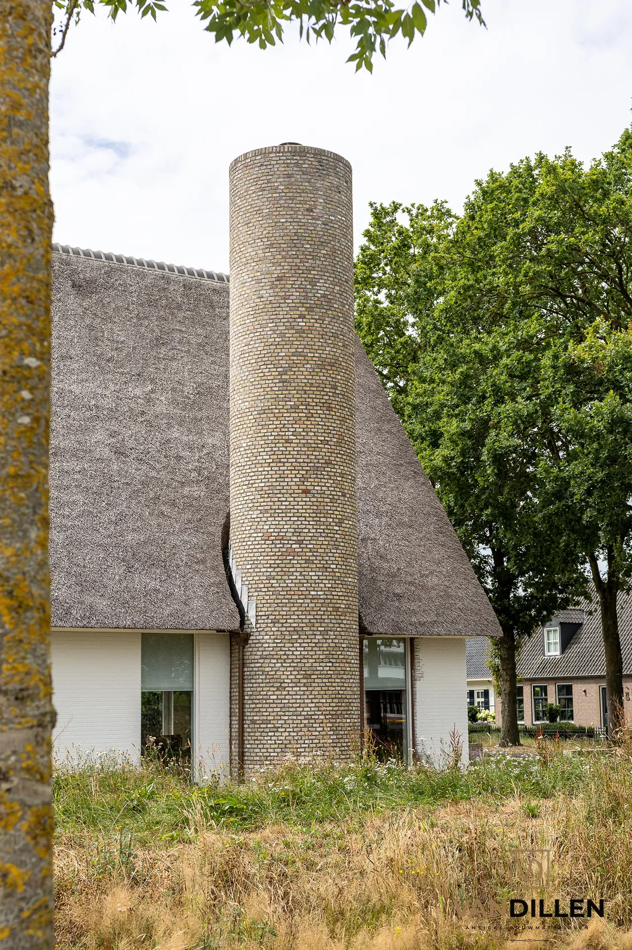 Grote Friese geeltjes in Helmond