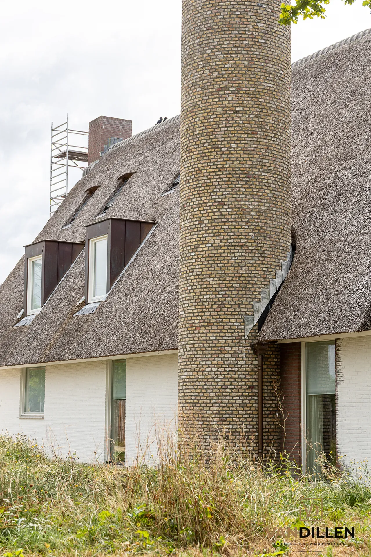 Grote Friese geeltjes in Helmond