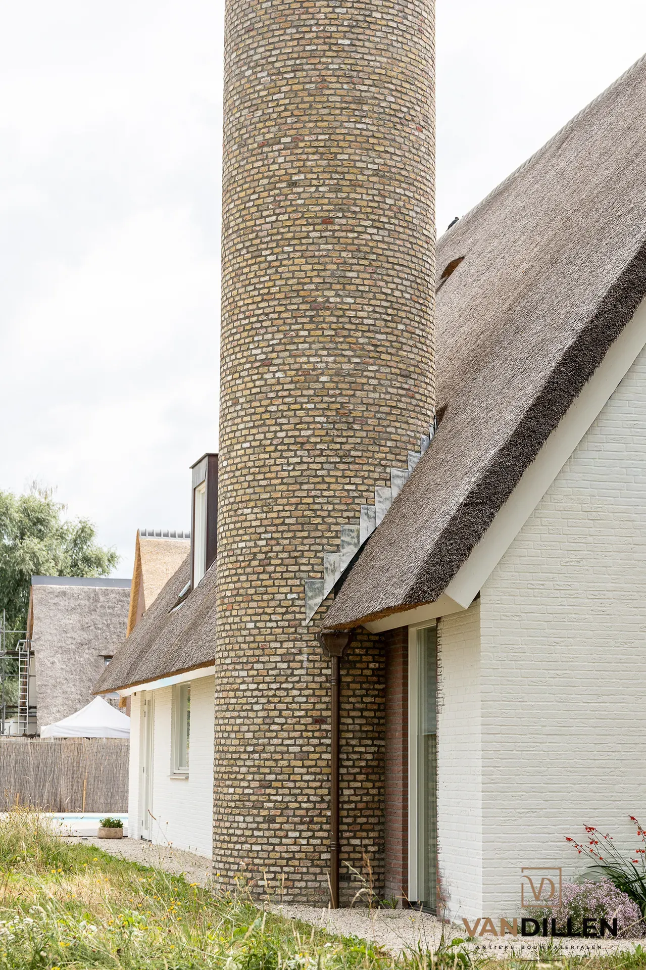Grote Friese geeltjes in Helmond