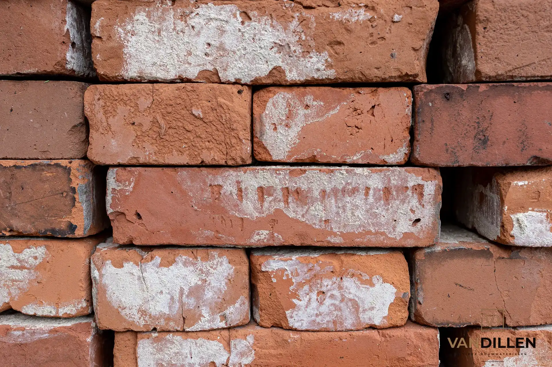 Grote Partij Groning Stenen Kopen