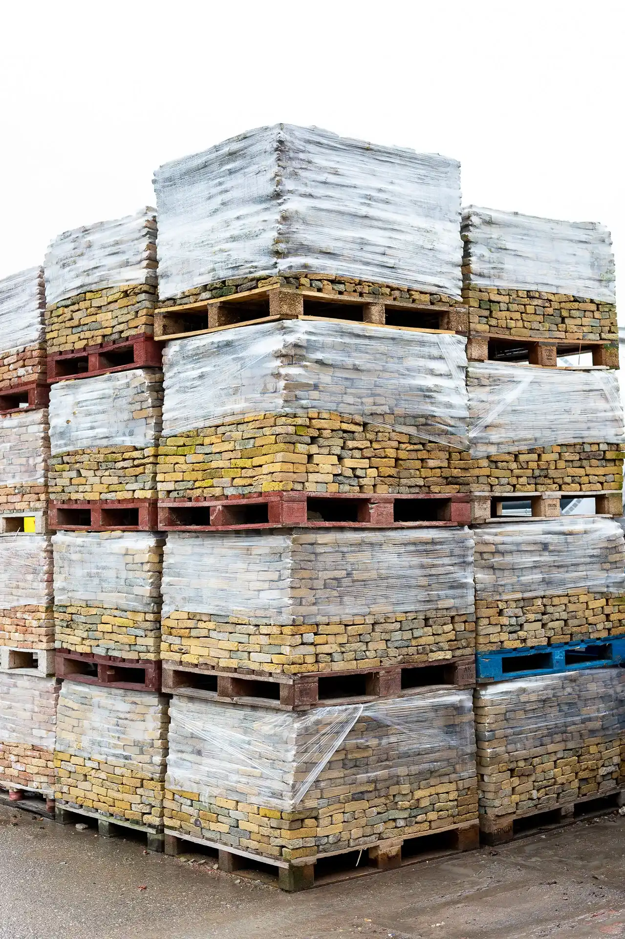 Hollandse Ijssels