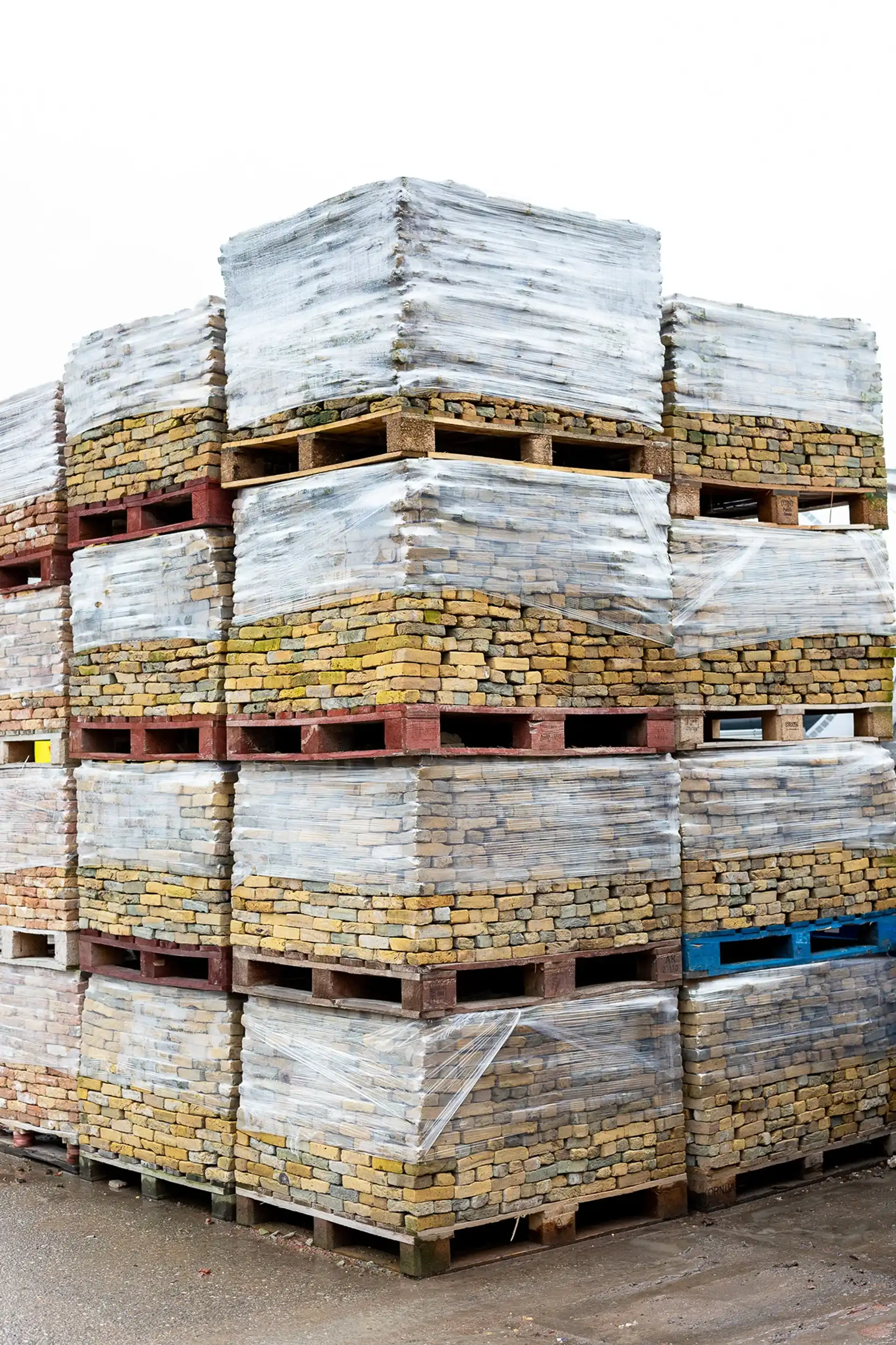 Hollandse Ijssels