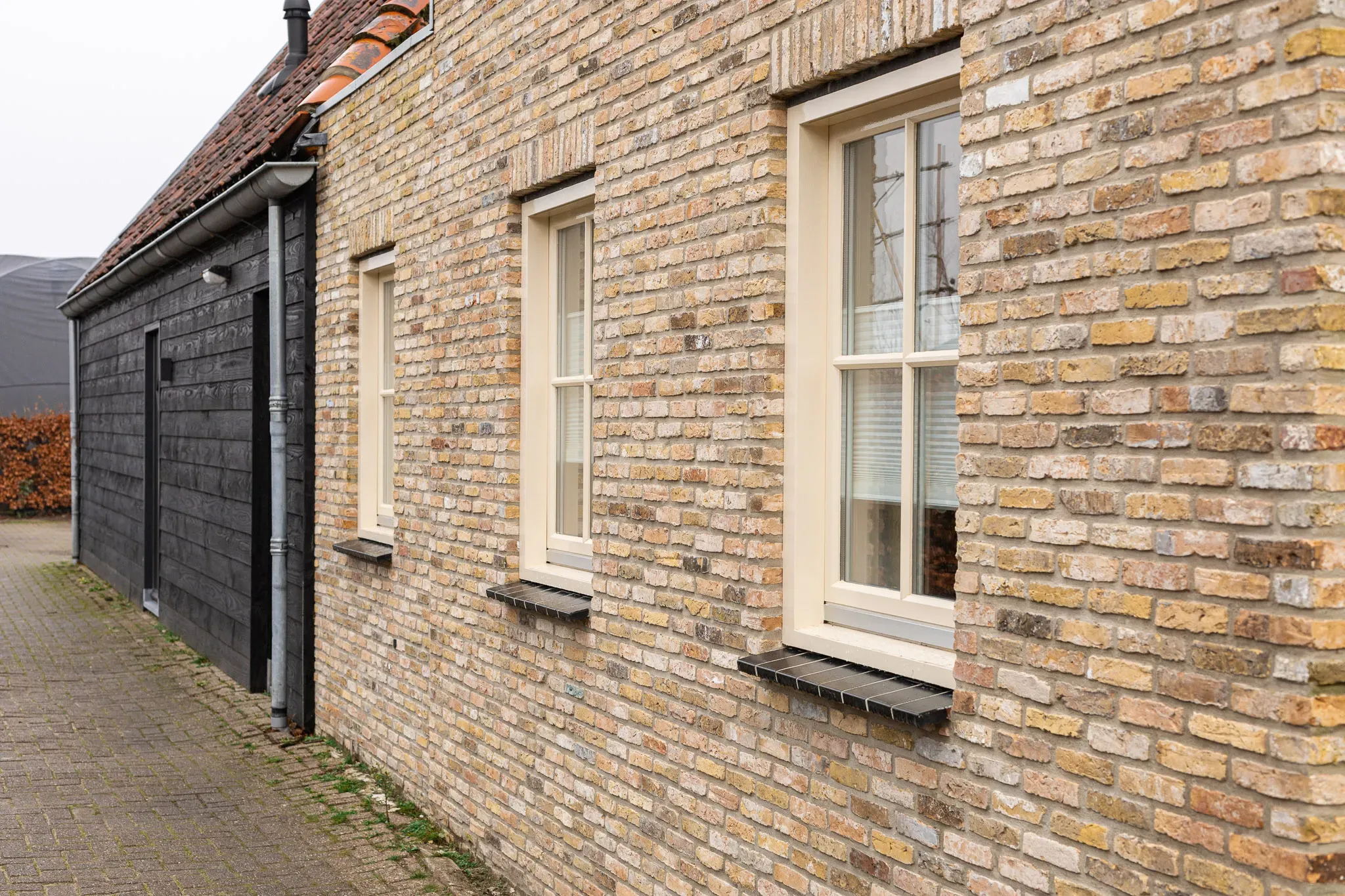 Geeltjes in Enkhuizen 2