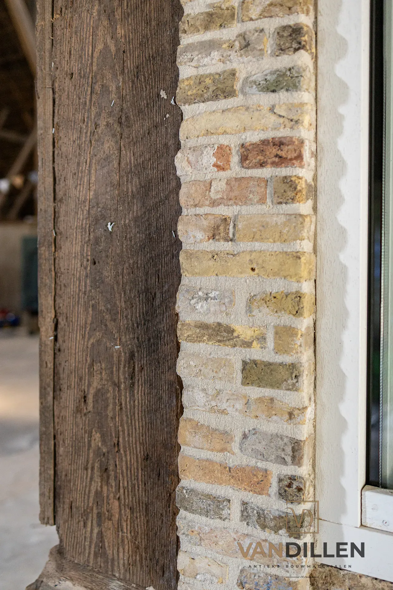 Geeltjes in Parrega 5