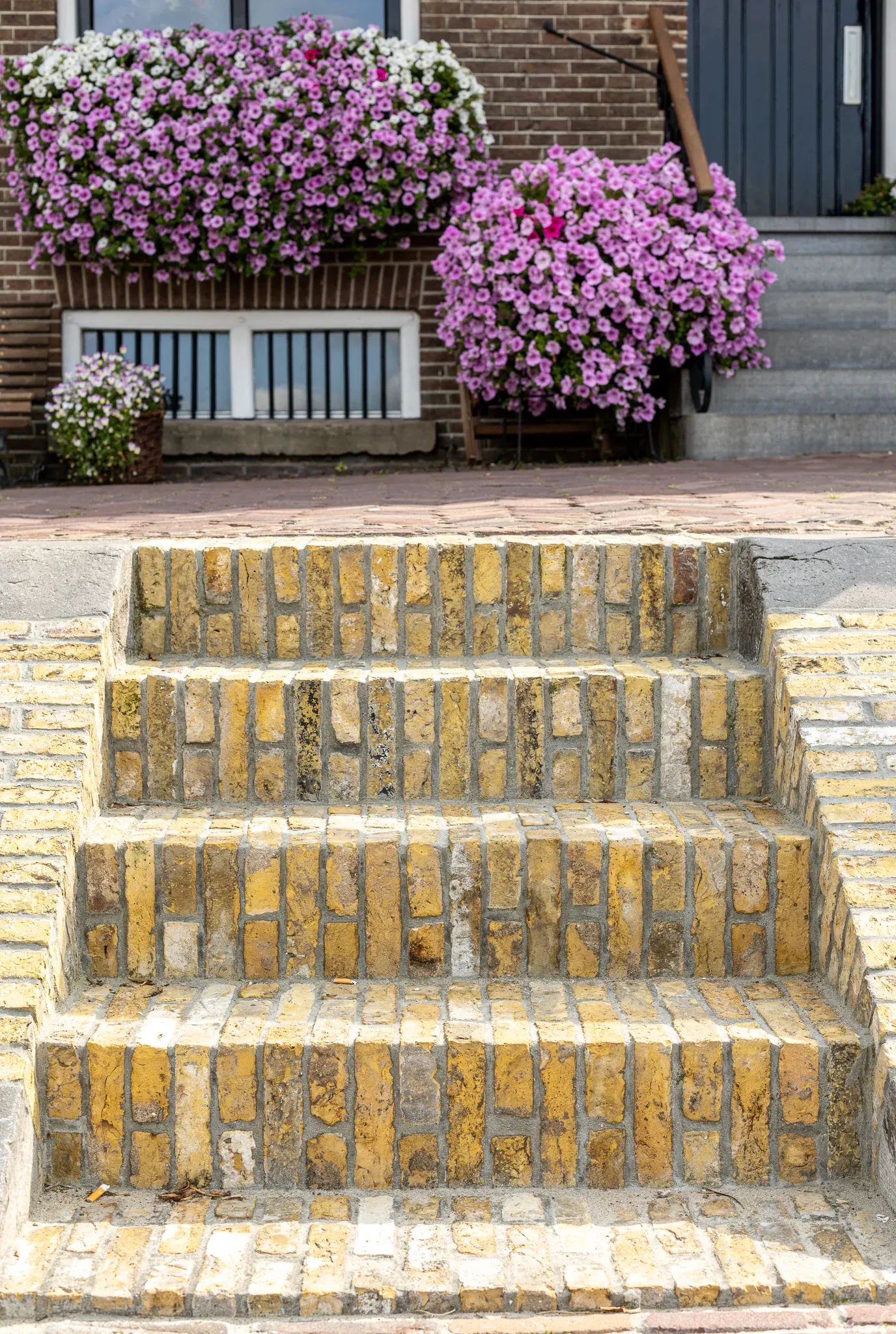 Geeltjes bij de Waterpoort 4
