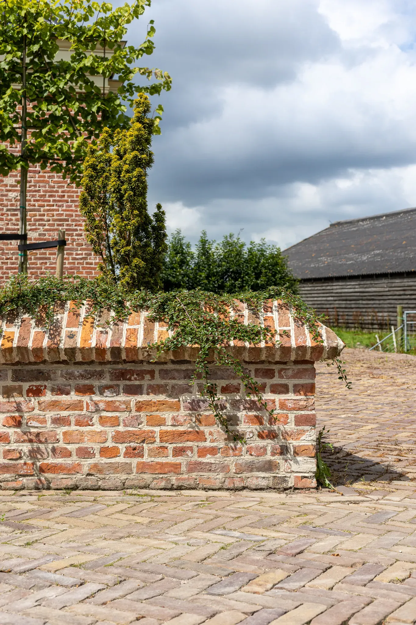 Laag muurtje voortuin in Wergea 5