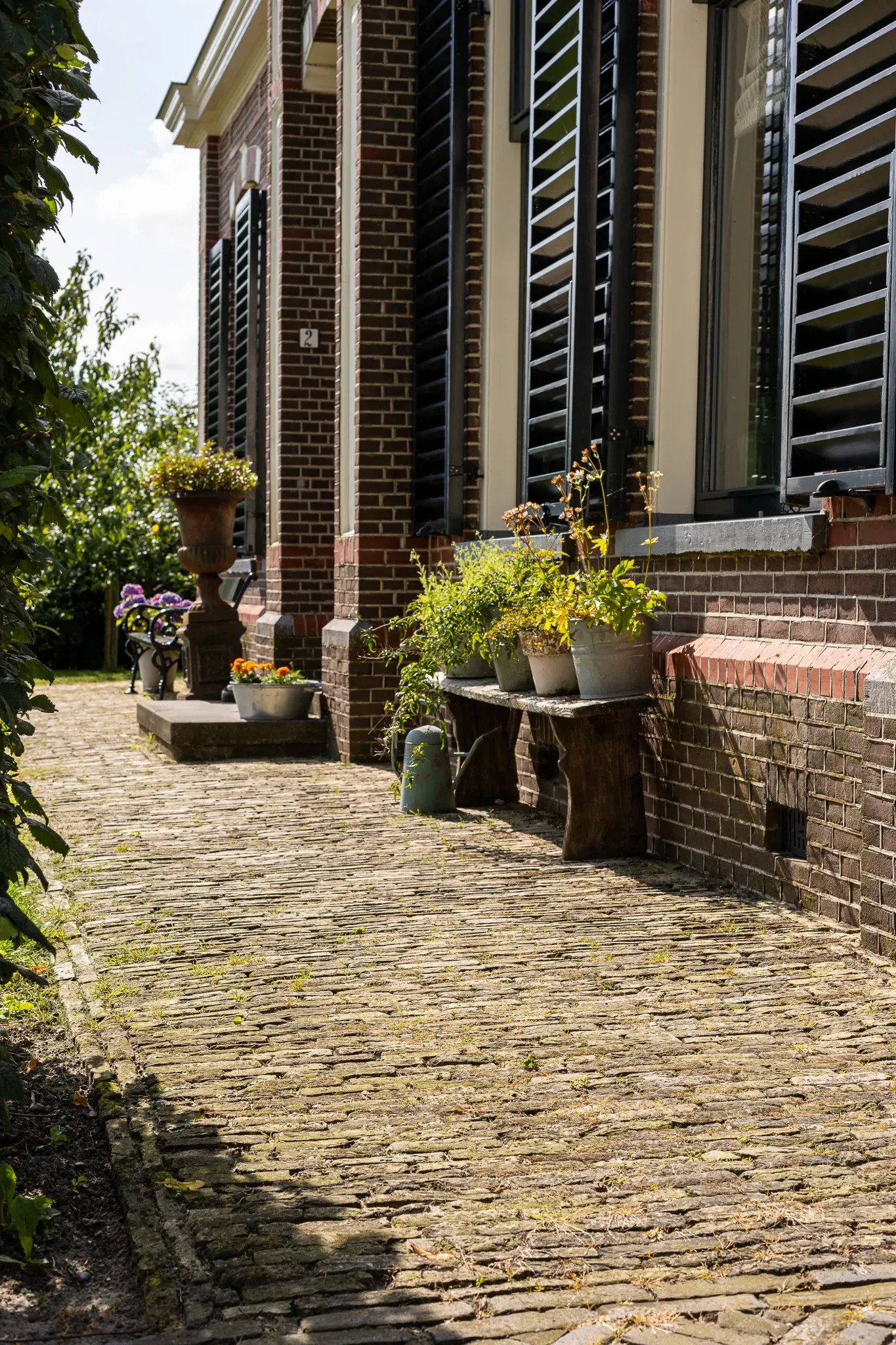 Boerengeeltjes in Wommels 3