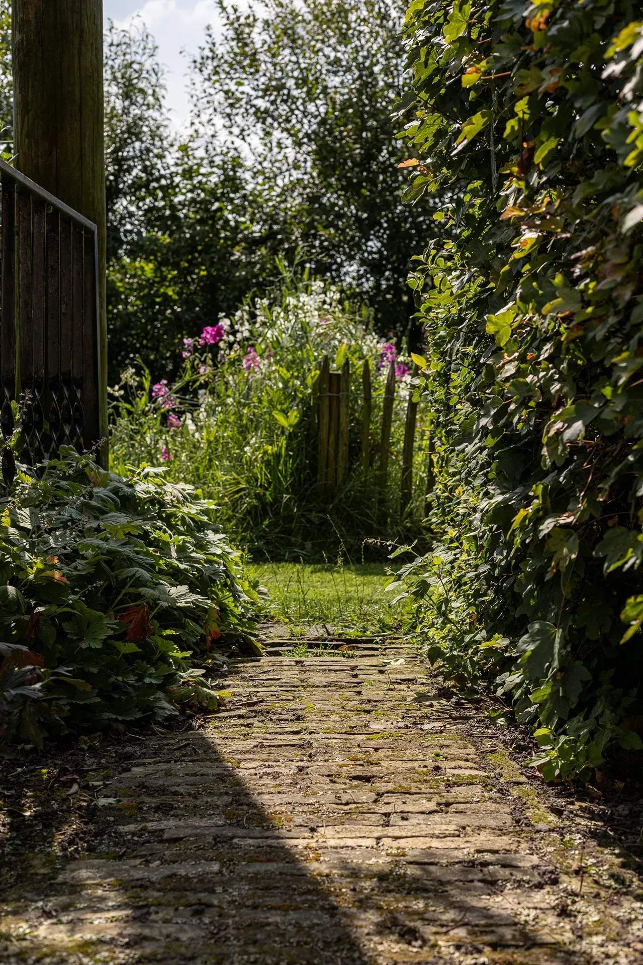 Boeren straat geeltjes