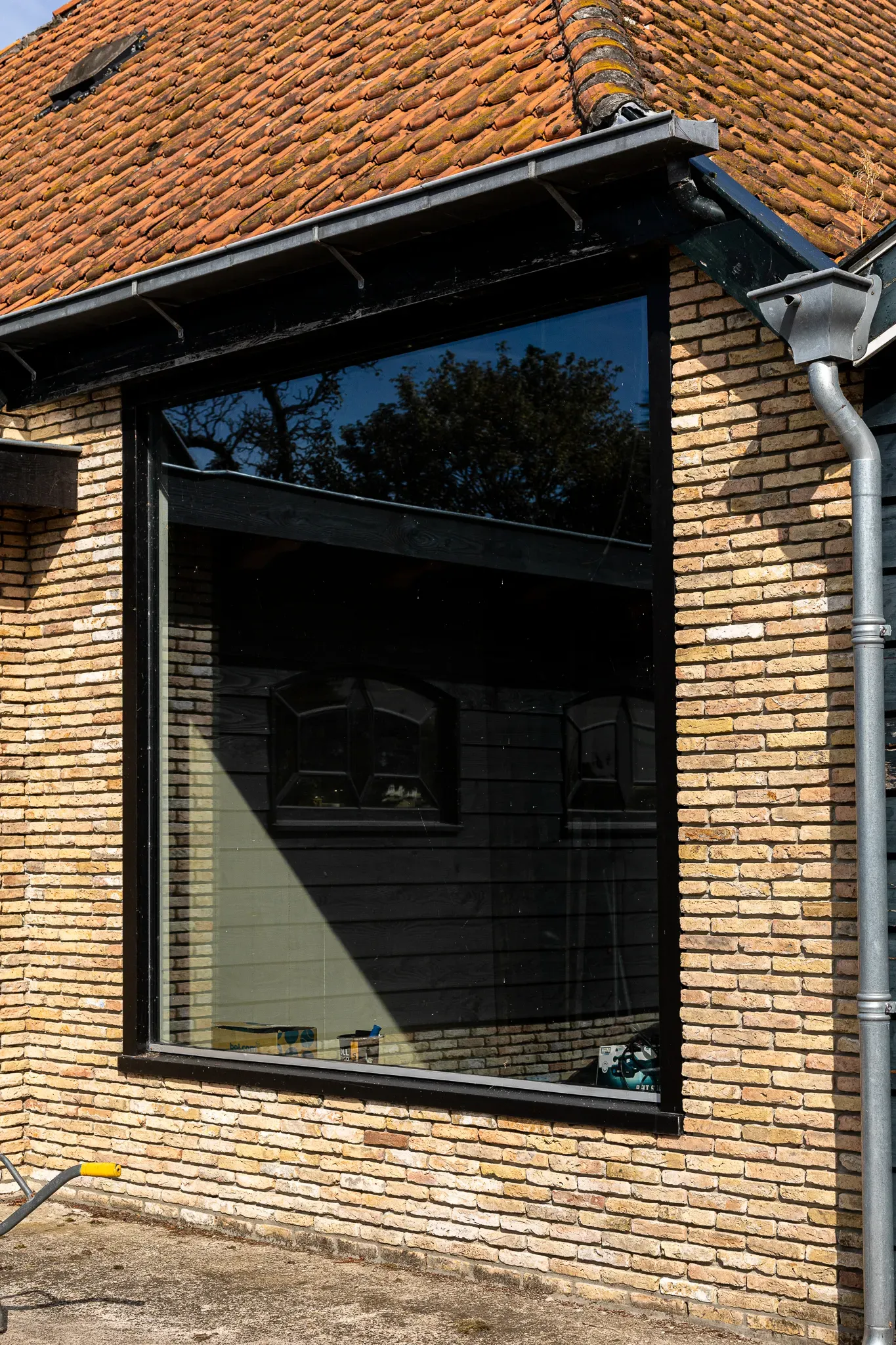 Geeltjes in Wervershoof 8