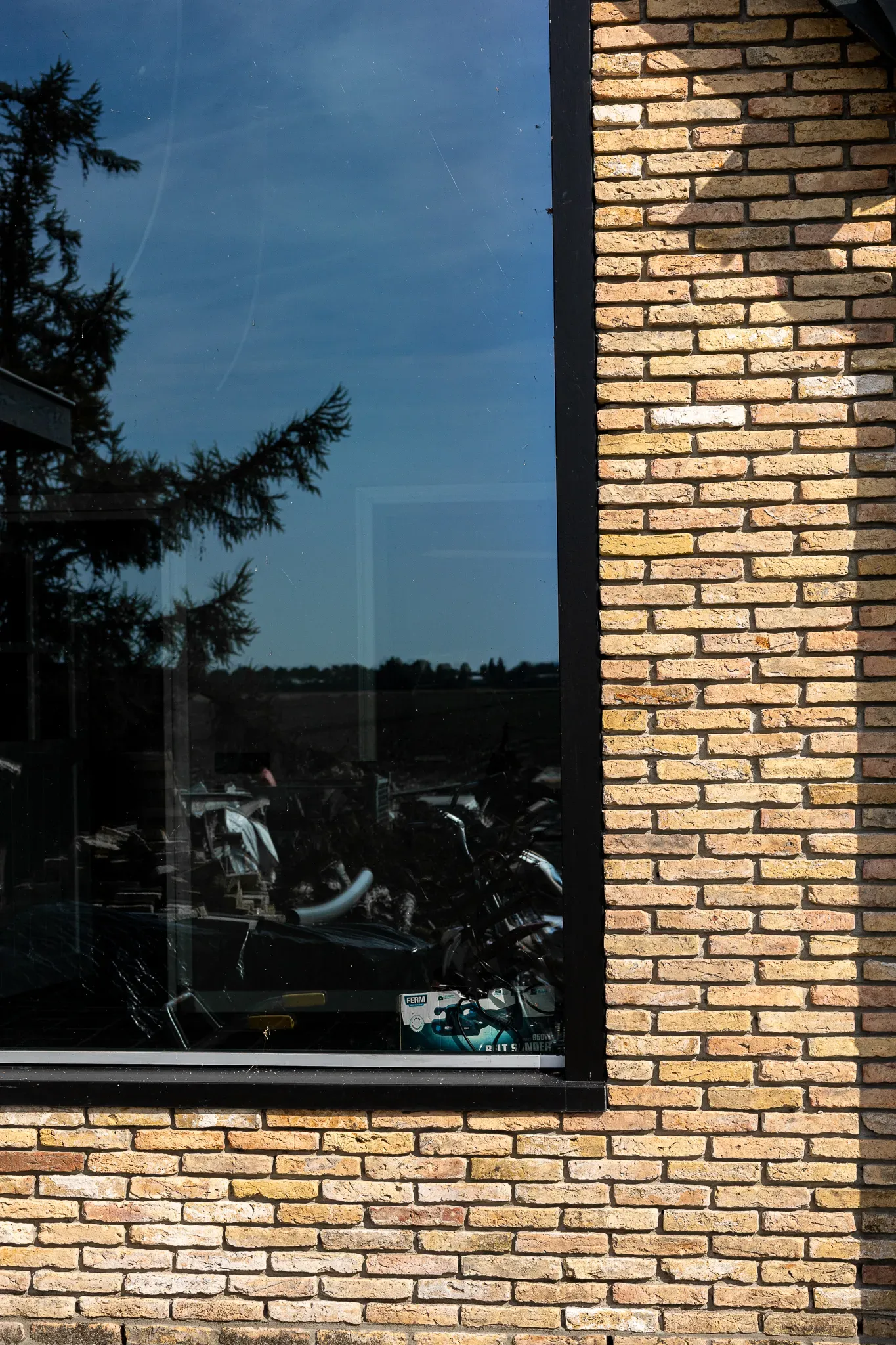 Geeltjes in Wervershoof 9