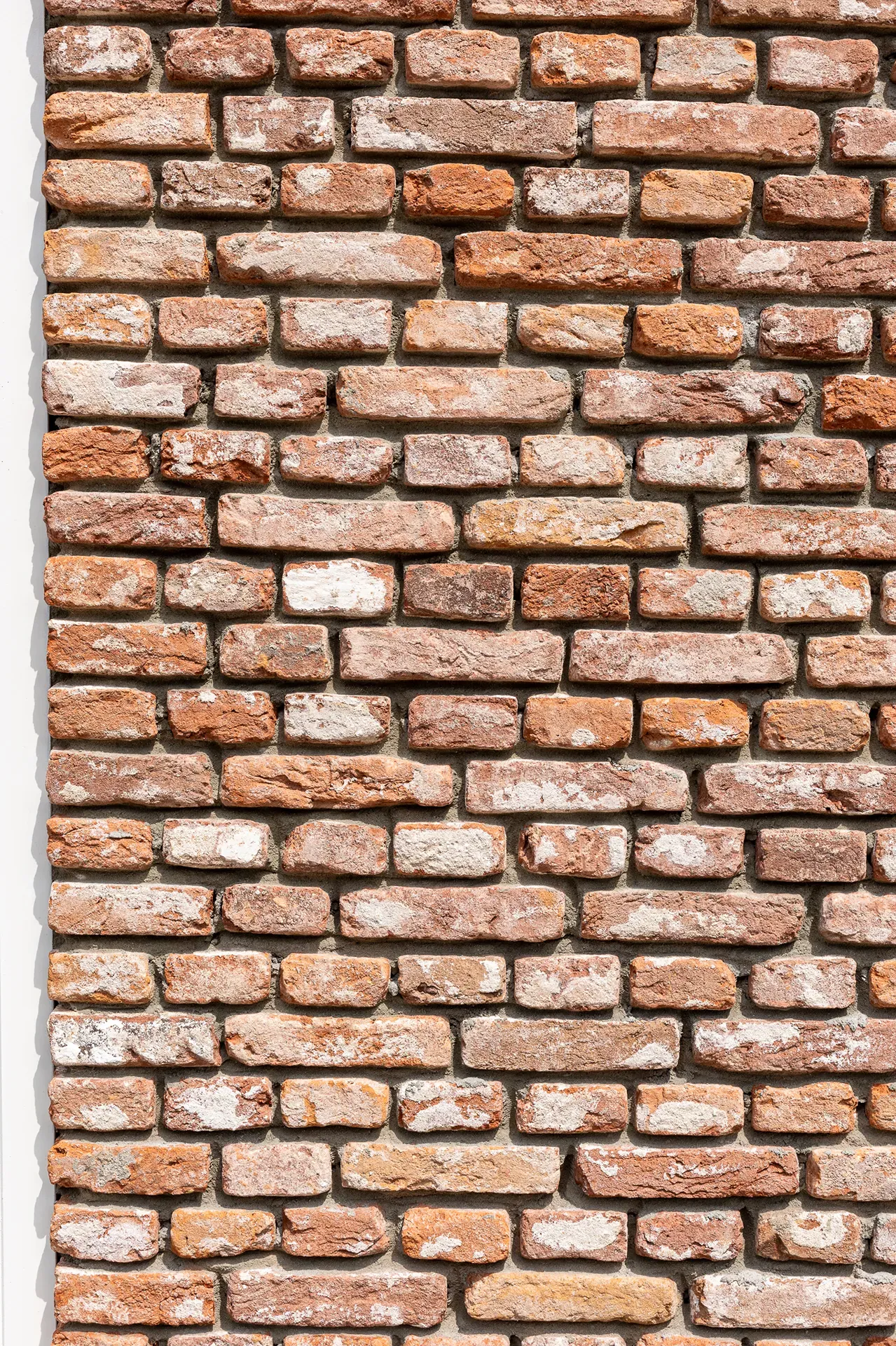 Cross bond with old bricks