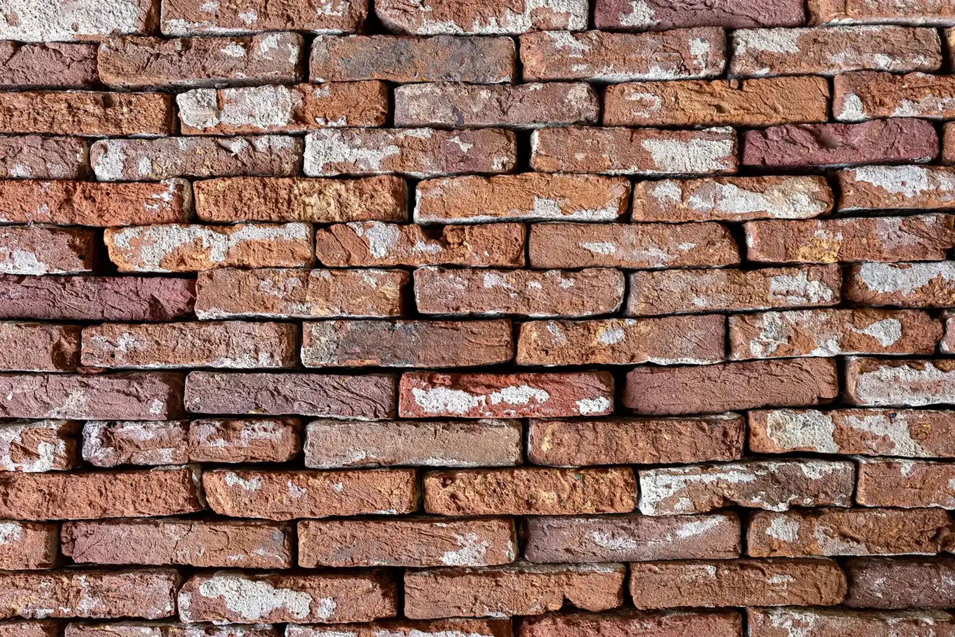 Oude Handvorm Rijntjes