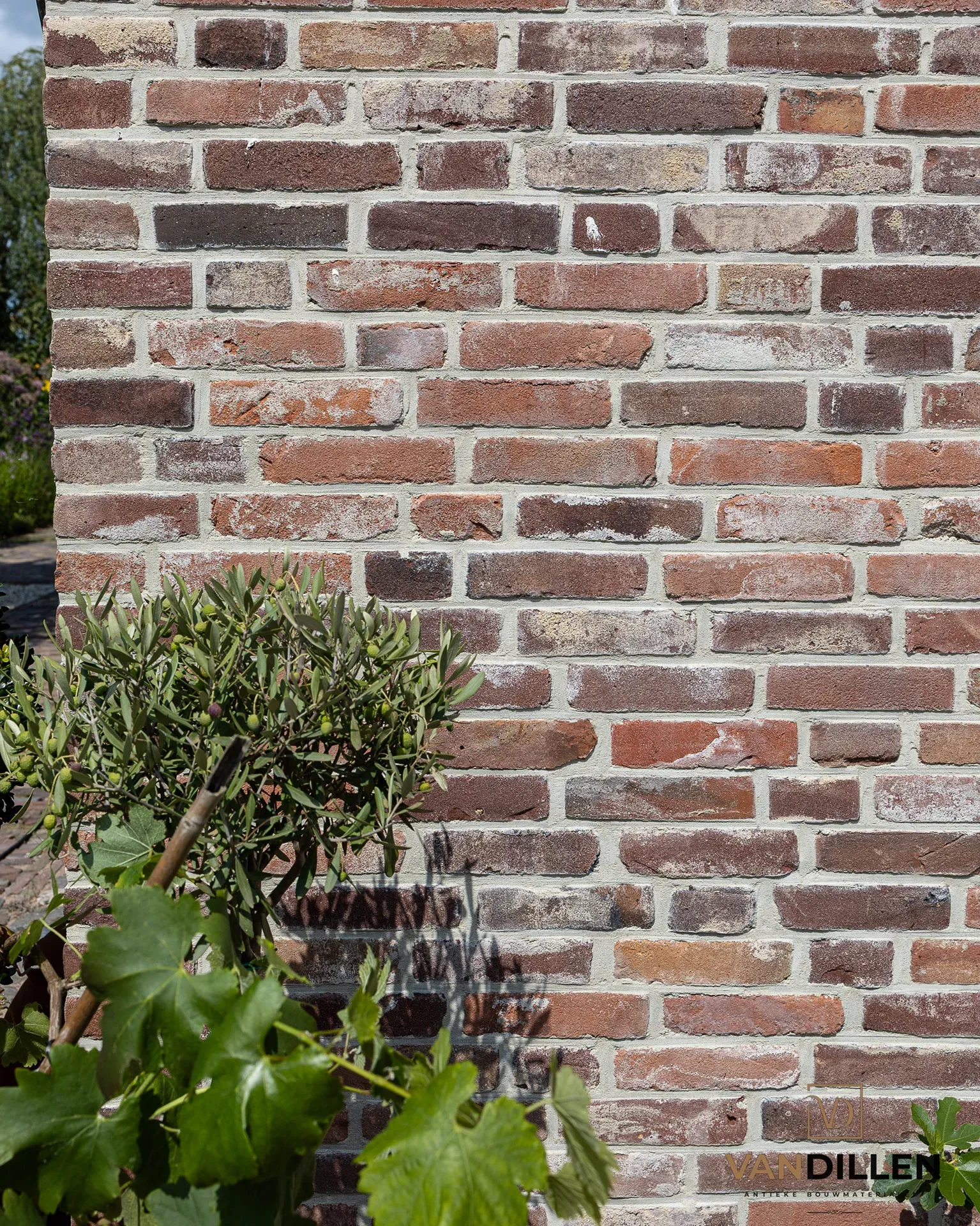 Old moulded bricks from 1926