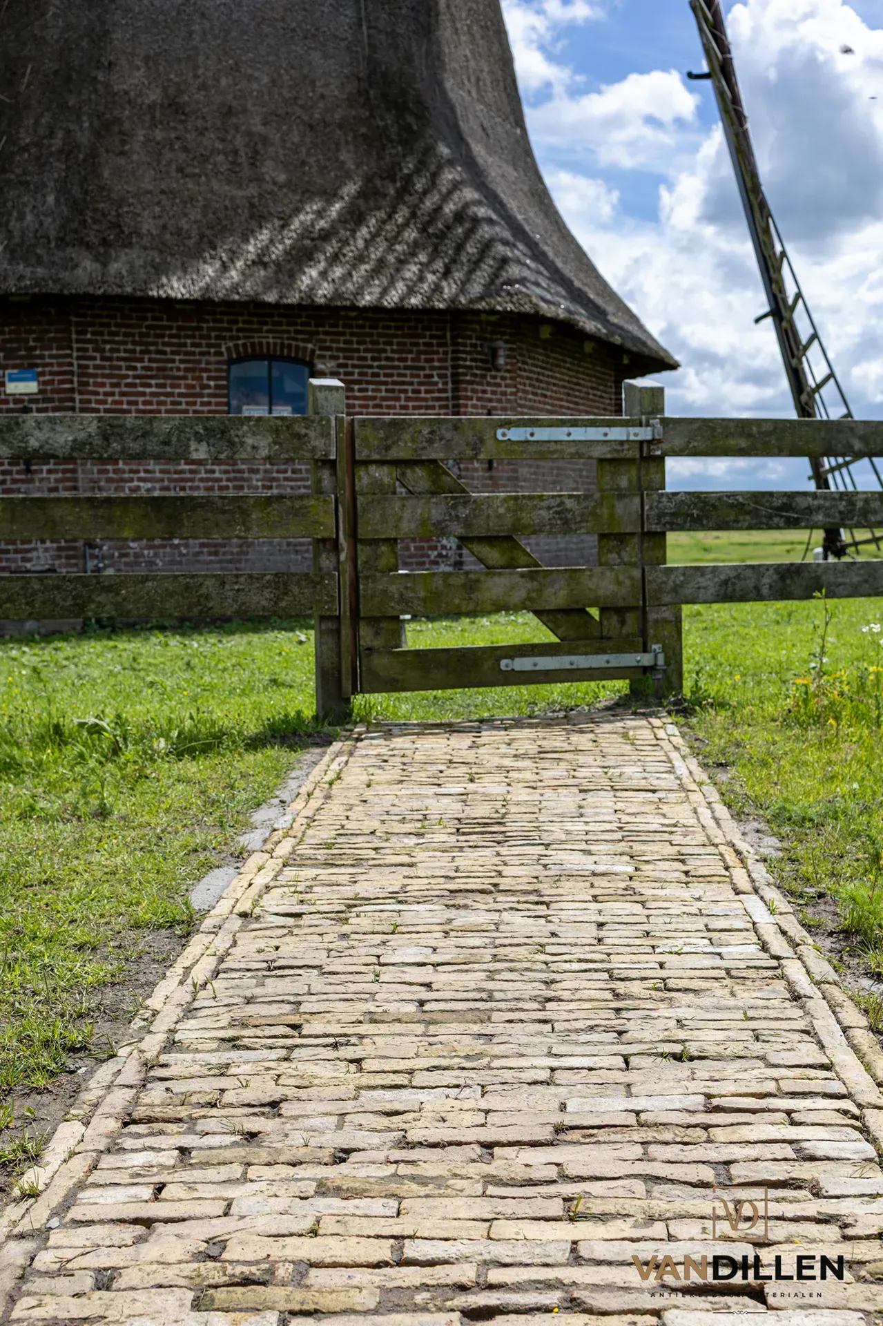 Paves jaunes de ferme pres d'un moulin a Wergea