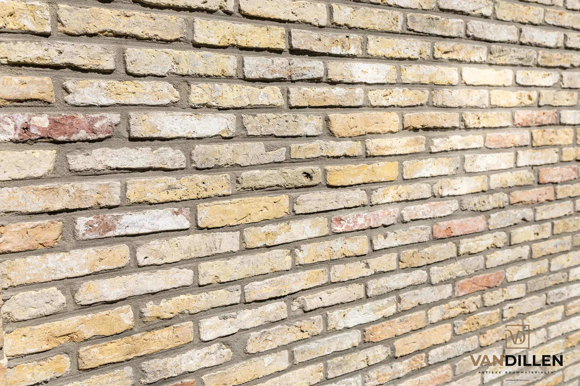 Petites briques jaunes frisonnes anciennes comme mur de jardin en Frise
