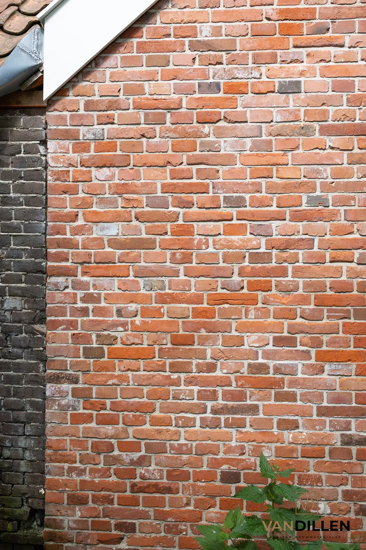 Smooth old Groningen bricks for restoration work in Slochteren