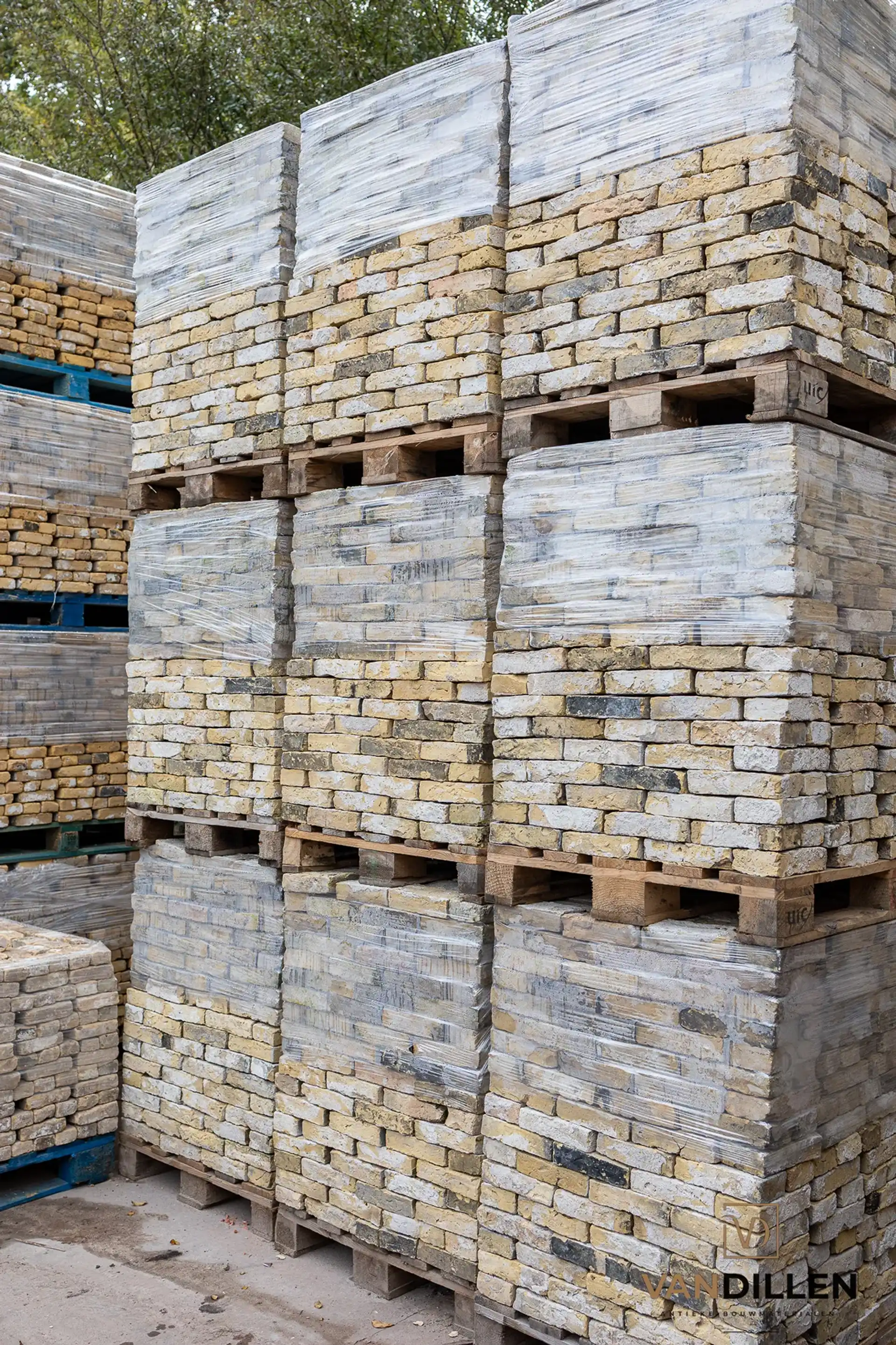 Waar Kan Ik De Mooiste Geeltjes Kopen