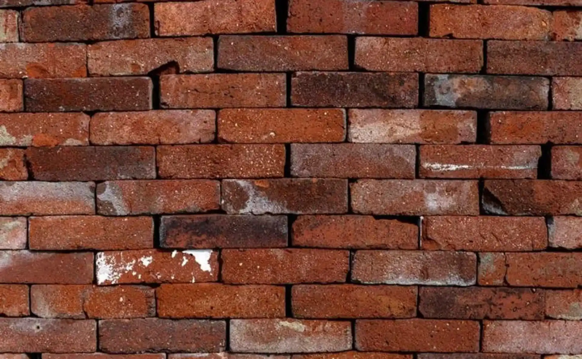 Whatsapp Image 2026 04 17 At 10 21 11 2