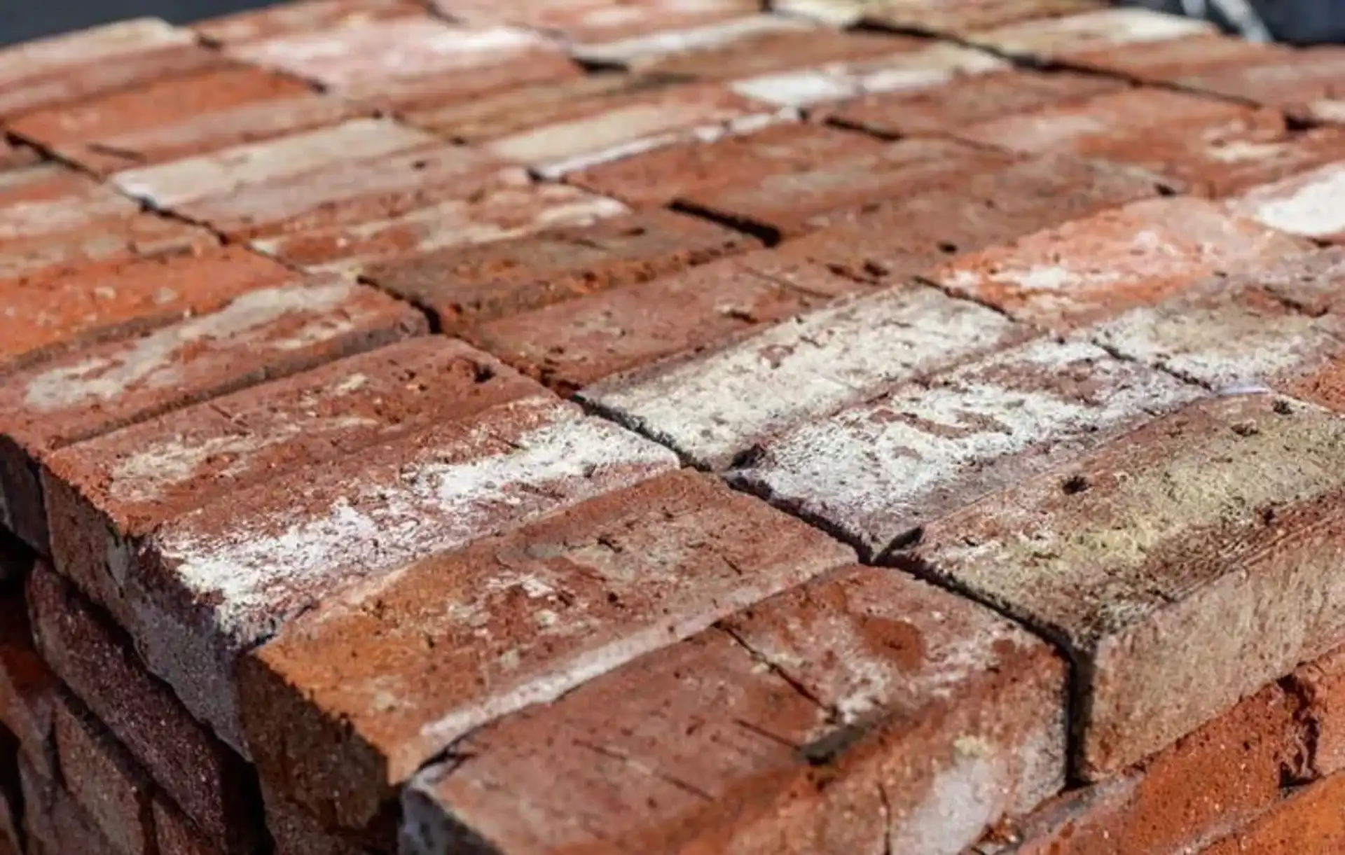 Whatsapp Image 2026 04 17 At 10 21 11 4