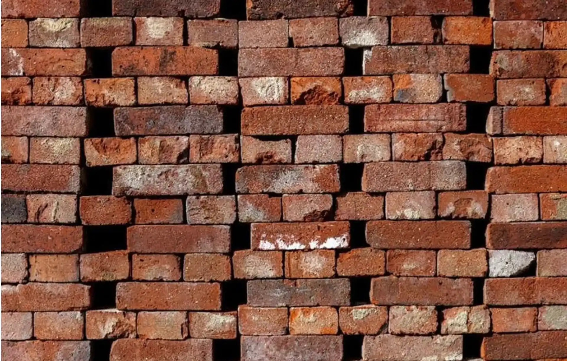 Whatsapp Image 2026 04 17 At 10 21 11 5