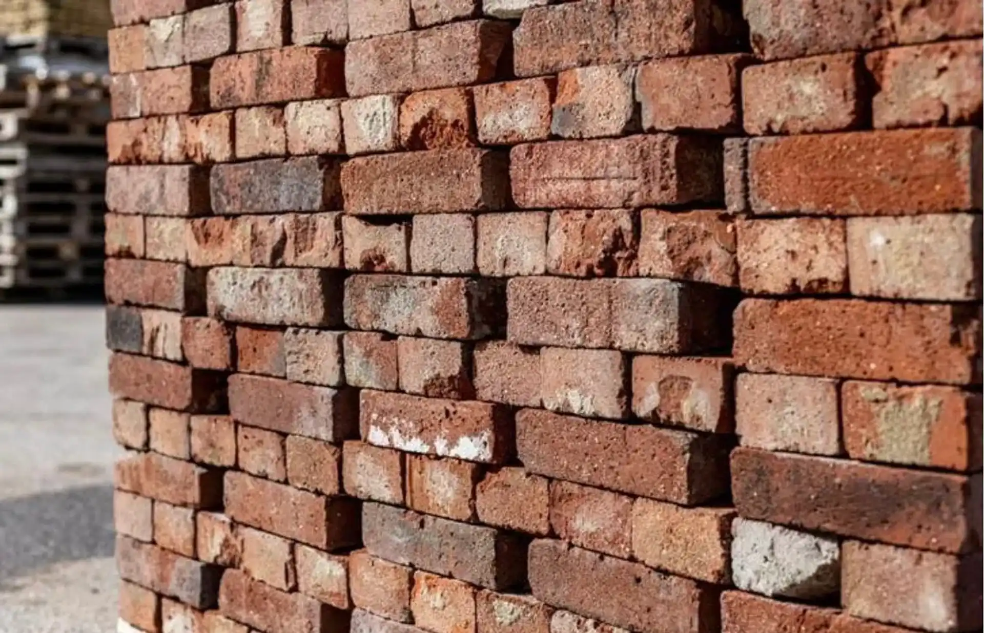 Whatsapp Image 2026 04 17 At 10 21 11